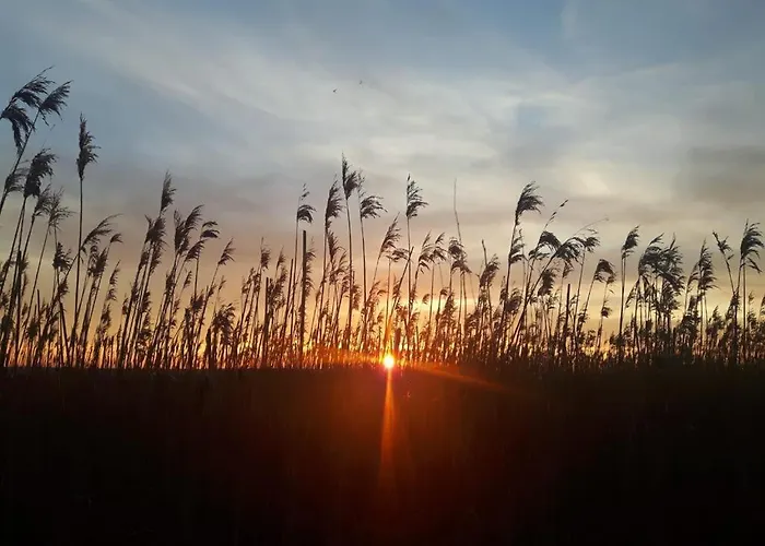 Atelier * Krummhörn