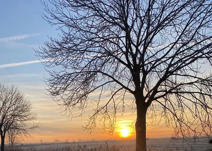 Dom wakacyjny Atelier